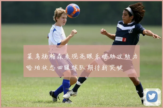 菜鸟杨瀚森表现亮眼乐福助攻助力哈珀状态回暖球队期待新突破