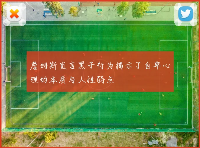 詹姆斯直言黑子行为揭示了自卑心理的本质与人性弱点