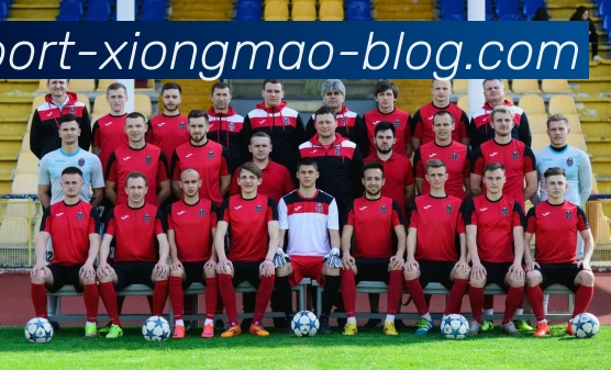 熊猫体育发展历程